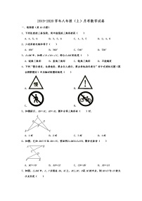 2019-2020学年八年级（上）月考数学试卷解析版