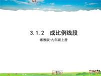 2021学年3.1 比例线段授课ppt课件