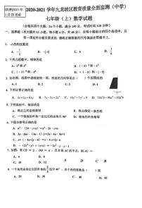 2020-2021九龙坡区七年级上册期末数学试题（ＰＤＦ版，无答案）