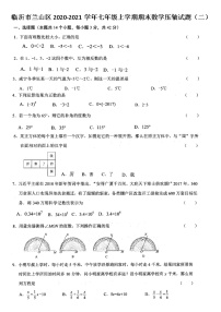 山东省临沂市兰山区2020-2021学年七年级上学期期末数学试题（二）（图片版，无答案）