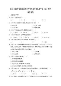 黑龙江省齐齐哈尔市拜泉县2021-2022学年七年级上学期期中数学【试卷+答案】