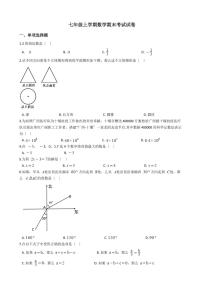 2021年广西壮族自治区南宁市七年级上学期数学期末考试试卷含解析答案