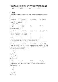 湖南省娄底市2021-2022学年八年级上学期期中数学试题（word版 含答案）