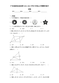 广东省珠海市香洲区2021-2022学年八年级上学期期中数学试题（word版 含答案）