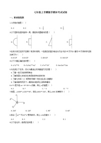 2021年四川省成都市东部新区七年级上学期数学期末考试试卷及答案