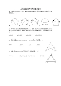 2021-2022学年人教版八年级数学上册全等三角形期末复习题