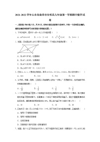 山东省荷泽市东明县2021-2022学年九年级上学期期中数学【试卷+答案】