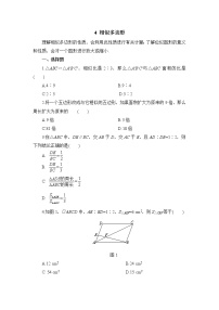 北师大版九年级上册3 相似多边形同步测试题