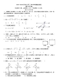 湖北省枣阳市太平三中2020年中考数学模拟试题