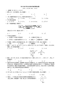 湖北省枣阳市兴隆一中2020年九年级中考数学模拟试题