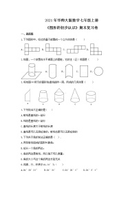 2021年华师大版数学七年级上册《图形的初步认识》期末复习卷（含答案）