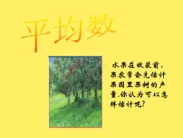 初中数学苏科版九年级上册第3章 数据的集中趋势和离散程度3.1 平均数教课内容课件ppt
