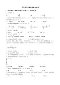 2021年广东深圳坪山区七年级上学期数学期末试卷及答案