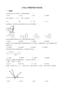 2021年四川省成都市七年级上学期数学期末考试试卷及答案