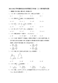 2021-2022学年湖南省永州市零陵区八年级（上）期中数学试卷