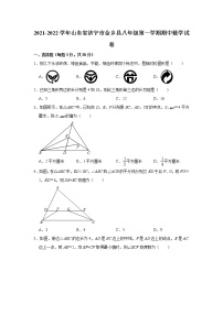 山东省济宁市金乡县2021-2022学年上学期八年级期中数学试卷 （word版 含答案）