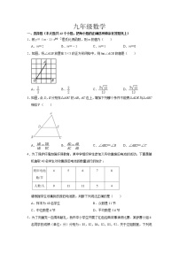 河北省石家庄地区2021-2022学年九年级上学期期中测试数学试题（word版 含答案）