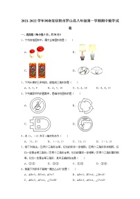 河南省信阳市罗山县2021-2022学年八年级上学期期中考试数学试题（word版 含答案）