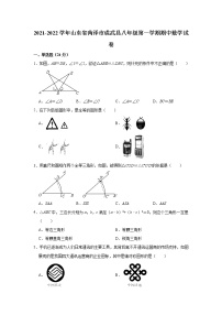 山东省菏泽市成武县2021-2022学年八年级上学期期中考试数学试题（word版 含答案）