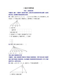 专题06 三角形专题突破-2021-2022学年八年级数学上册专题考点专练（人教版