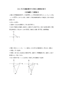 2021年人教版数学八年级上册期末复习《压轴题》专题练习(含答案)