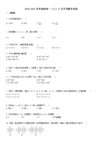 2020-2021某校初一（上）11月月考数学试卷