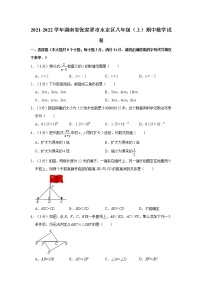 2021-2022学年湖南省张家界市永定区八年级（上）期中数学试卷   解析版