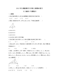 期末复习《第十一章 三角形》专题练习 2021-2022学年人教版数学八年级上册
