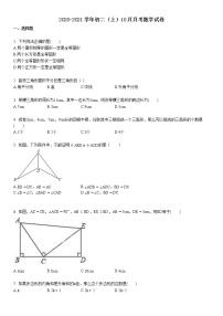 2020-2021初二（上）10月月考数学试卷