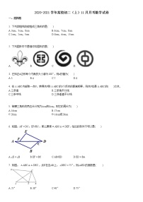 2020-2021初二（上）11月月考数学试卷