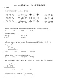 2019-2020学年初二（上）12月月考数学试卷