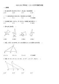 2020-2021学年某校初二（上）9月月考数学试卷