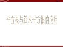 人教版七年级下册6.1 平方根授课ppt课件