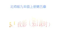 初中数学北师大版九年级上册1 投影教学演示课件ppt