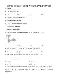 11.人教版·江西省吉安市峡江县期末练习题