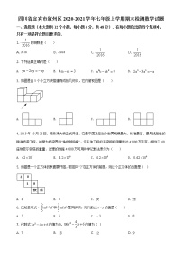 4.华师版·四川省宜宾市叙州区期末练习题