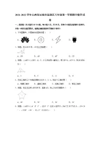 山西省运城市盐湖区2021-2022学年八年级上学期期中考试数学试卷(word版含答案)