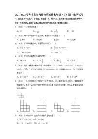 2021-2022学年山东省菏泽市鄄城县七年级（上）期中数学试卷