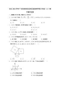 2021-2022学年广东省深圳市龙岗区新亚洲学校八年级（上）期中数学试卷   解析版