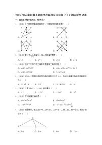 2015-2016学年湖北省武汉市新洲区八年级（上）期末数学试卷