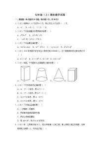 七年级上册期末试卷（解析版）