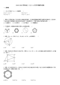 2019-2020学年初三（上）11月月考数学试卷