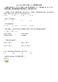 2019-2020学年七年级（上）期末数学试卷0