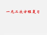 初中21.1 一元二次方程复习课件ppt