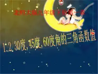 北师大版九年级下册2 30°、45°、60°角的三角函数值教课内容课件ppt