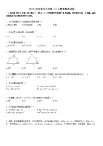 2019-2020学年八年级（上）期末数学试卷4