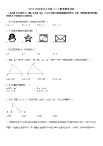 2019-2020学年4八年级（上）期末数学试卷5