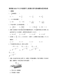 浙教版2021年七年级数学上册期末常考基础题巩固训练卷  解析版