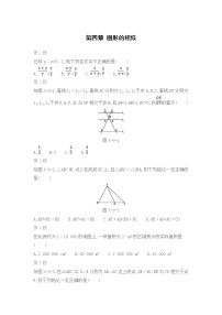 北师版数学九年级上期末复习专题：第四章 图形的相似