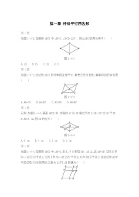 北师版数学九年级上期末复习专题：第一章 特殊平行四边形